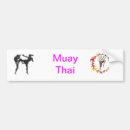 Search for thai bumper stickers Fight