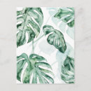 Recherche de feuille tropical cartes postales Palme