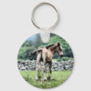 Recherche de colt porteclés Chevaux