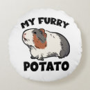 Search for guinea pig pillows Piggy