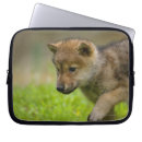 Search for wolfe laptop cases Cute