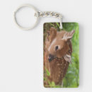Search for habitat keychains Cute