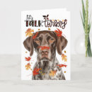 Search for german shorthaired pointer dog cards Dogs