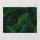 Recherche de plantes tropicaux de forêt tropicale cartes postales Botanique