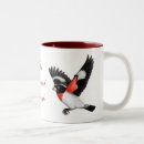 Recherche de bec tasses Oiseaux sauvages