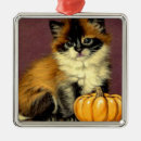 Search for ragdoll cat ornaments Himalayan