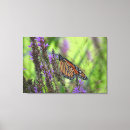 Search for purple butterfly canvas prints Wings