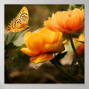 Recherche de jaune posters Fleur