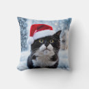 Search for cat pillows Funny