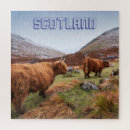 Search for highland cow puzzles Scotland