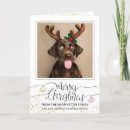 Search for antler christmas cards Cute