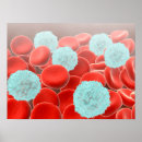 Search for cell wall Healthcare