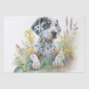 Search for dalmatian tissue paper Cute