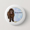 Search for newfoundland buttons Dog