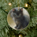 Search for shadow ornaments Black