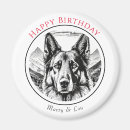 Recherche de berger blanc magnets Loup