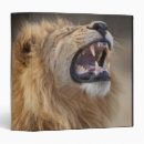 Search for anger binders Nature