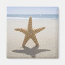 Search for cape cod magnets Usa