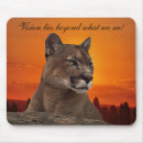 Search for puma electronics Lion