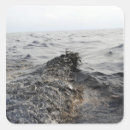 Search for slick stickers Gulf of mexico