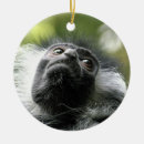 Search for monkeys ornaments Zoo
