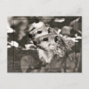 Search for friend baby postcards Young