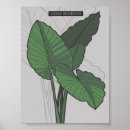 Search for exotic plants posters Botanical