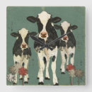 Recherche de onyx horloges Blanc