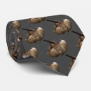 Search for sloth ties Wild