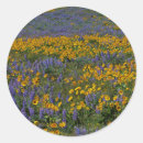 Search for columbia river stickers Ie