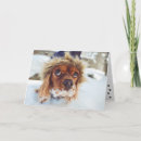 Search for do i smell cake birthday cards Cute