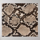 Search for snake skin posters Pattern