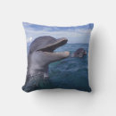 Recherche de habitat coussins Vie marine