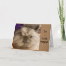 Recherche de pâques de lapin photographie Laïque