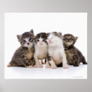 Recherche de japanese cat posters Feline