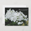Search for purity Floral
