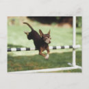 Search for hurdle postcards Outdoors