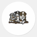 Search for australian stickers Shepherd