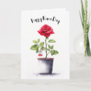 Search for rose bush Flower