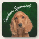 Search for cocker barware Pets