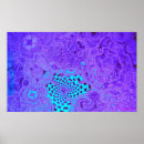 Search for maze posters Psychedelic