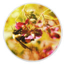 Search for bumble bee knobs and pulls Nature