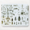 Recherche de entomologie tapis souris Insectes