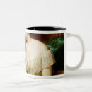 Recherche de botaniste tasses Botanique