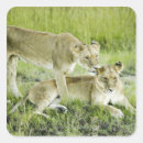 Search for affectionate stickers Full length