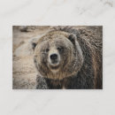 Recherche de ours gris cartes visite Nature