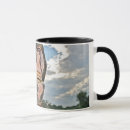 Search for smiling horse mugs Nature