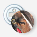 Search for draught barware Clydesdale horses