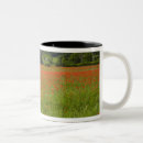 Search for field of poppies mugs Plants
