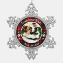 Search for pet supplies Sympathy